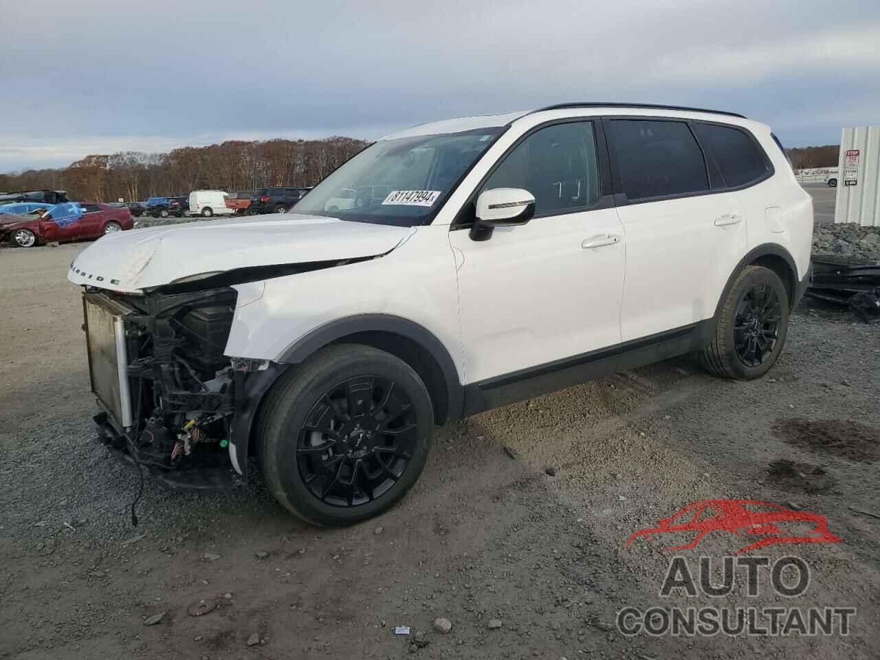 KIA TELLURIDE 2022 - 5XYP3DHC3NG252841