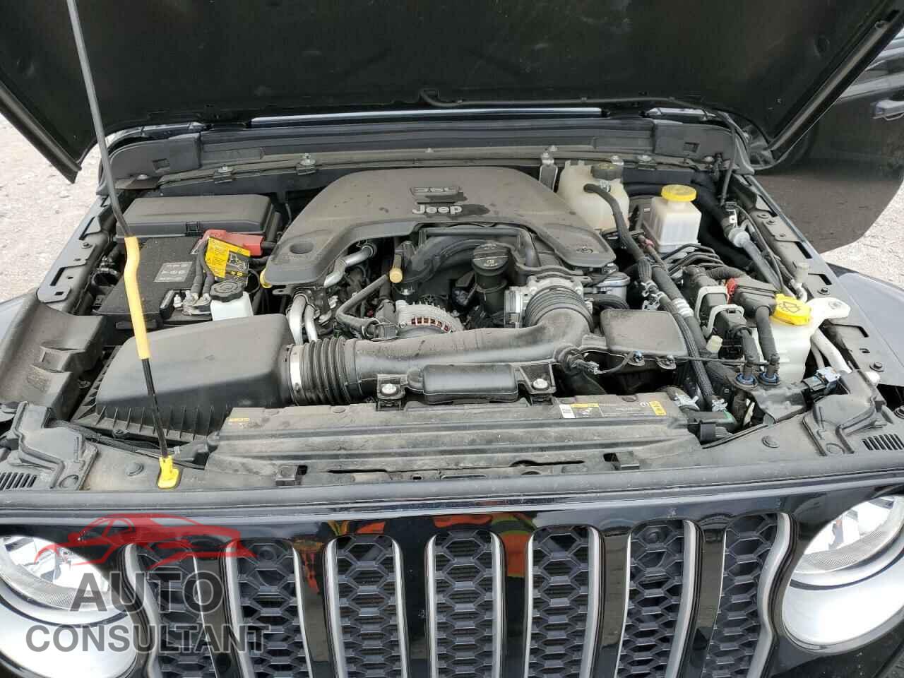 JEEP GLADIATOR 2021 - 1C6HJTFGXML610568