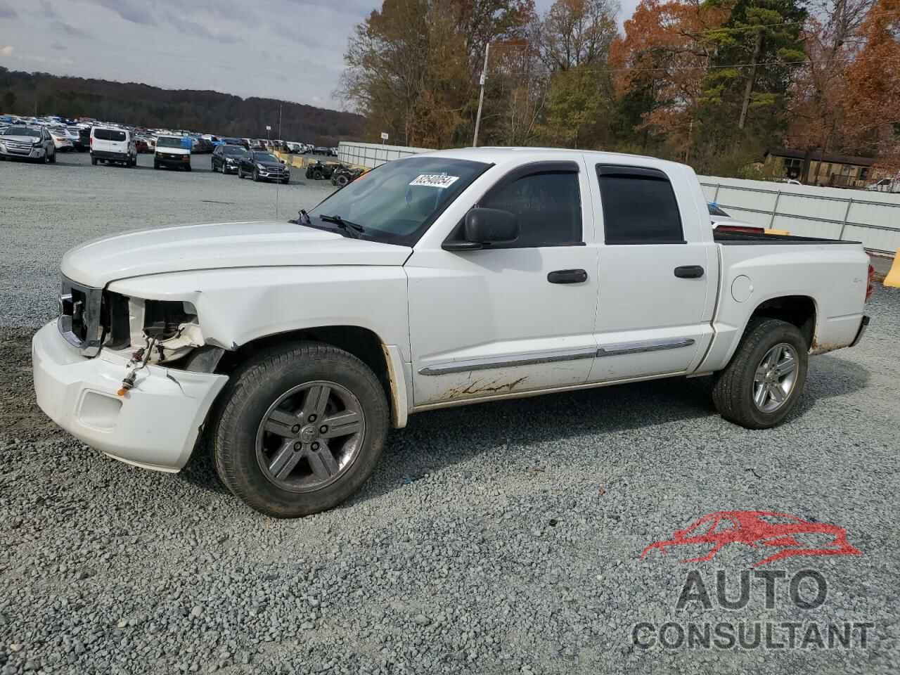 DODGE DAKOTA 2011 - 1D7RW5GP1BS691834