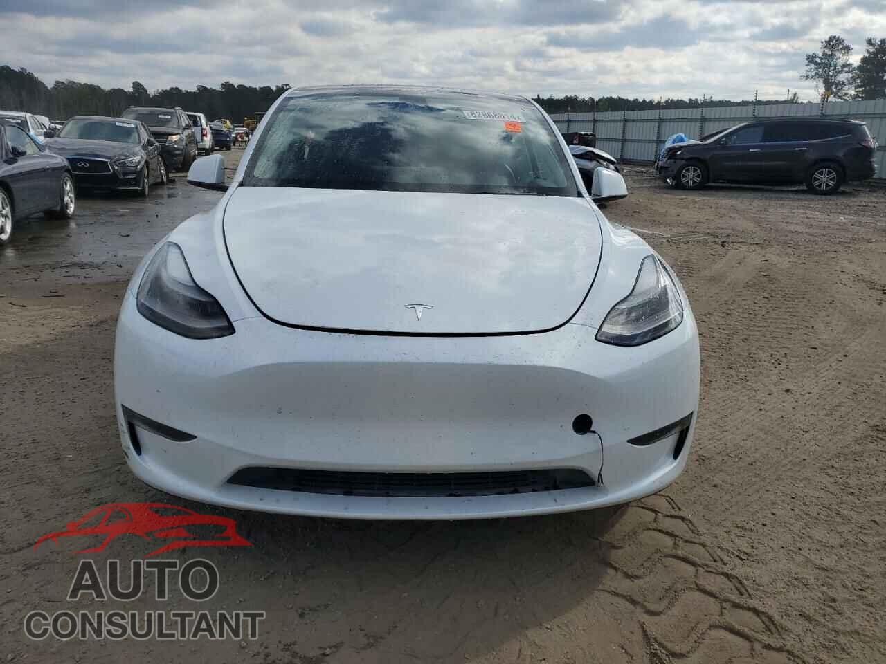 TESLA MODEL Y 2023 - 7SAYGAEE2PF607427