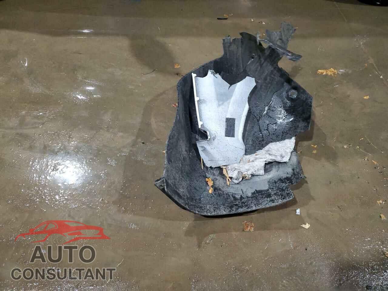 HONDA CIVIC 2024 - 2HGFE2F52RH551552