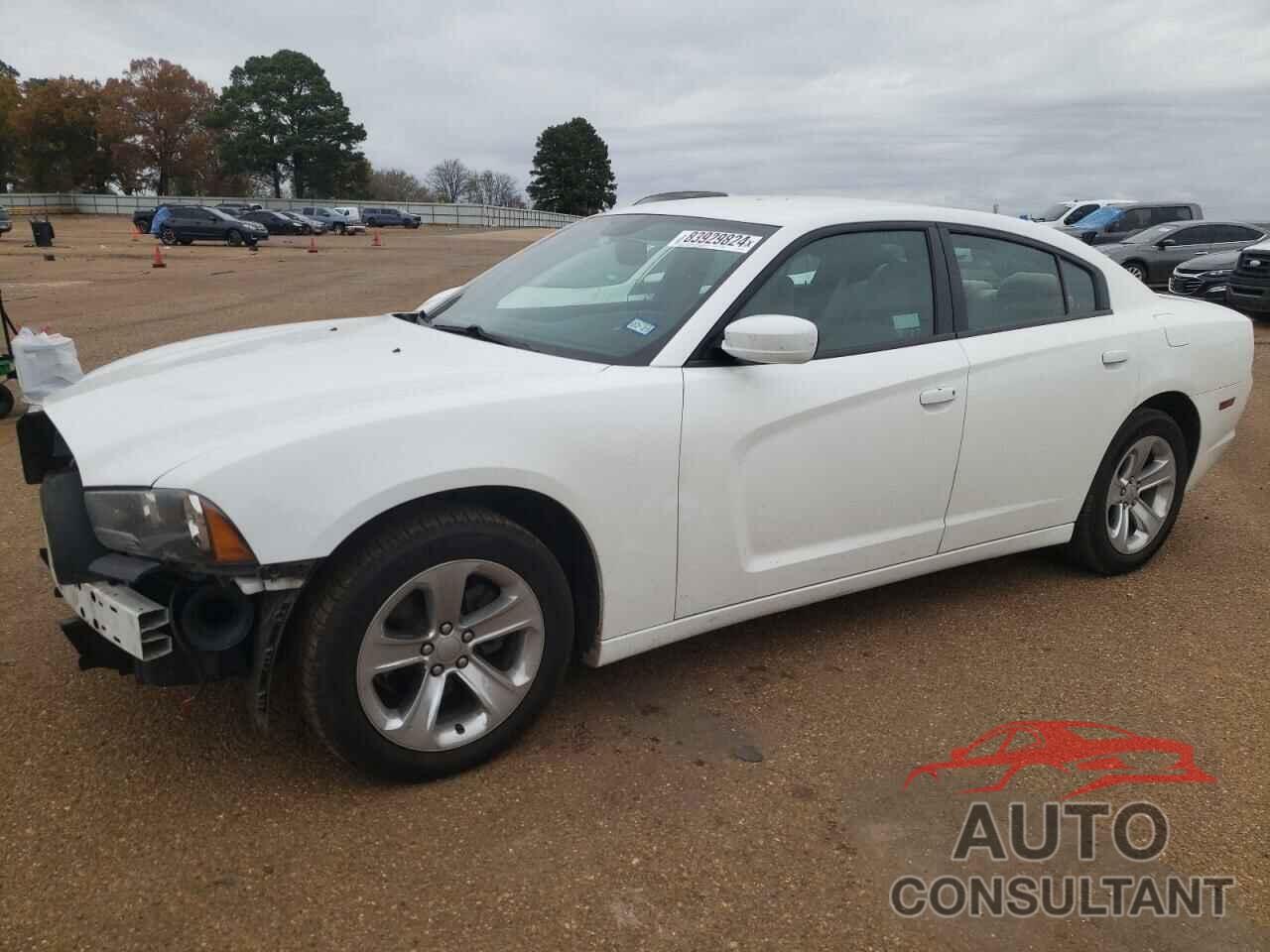 DODGE CHARGER 2011 - 2B3CL3CG1BH513546