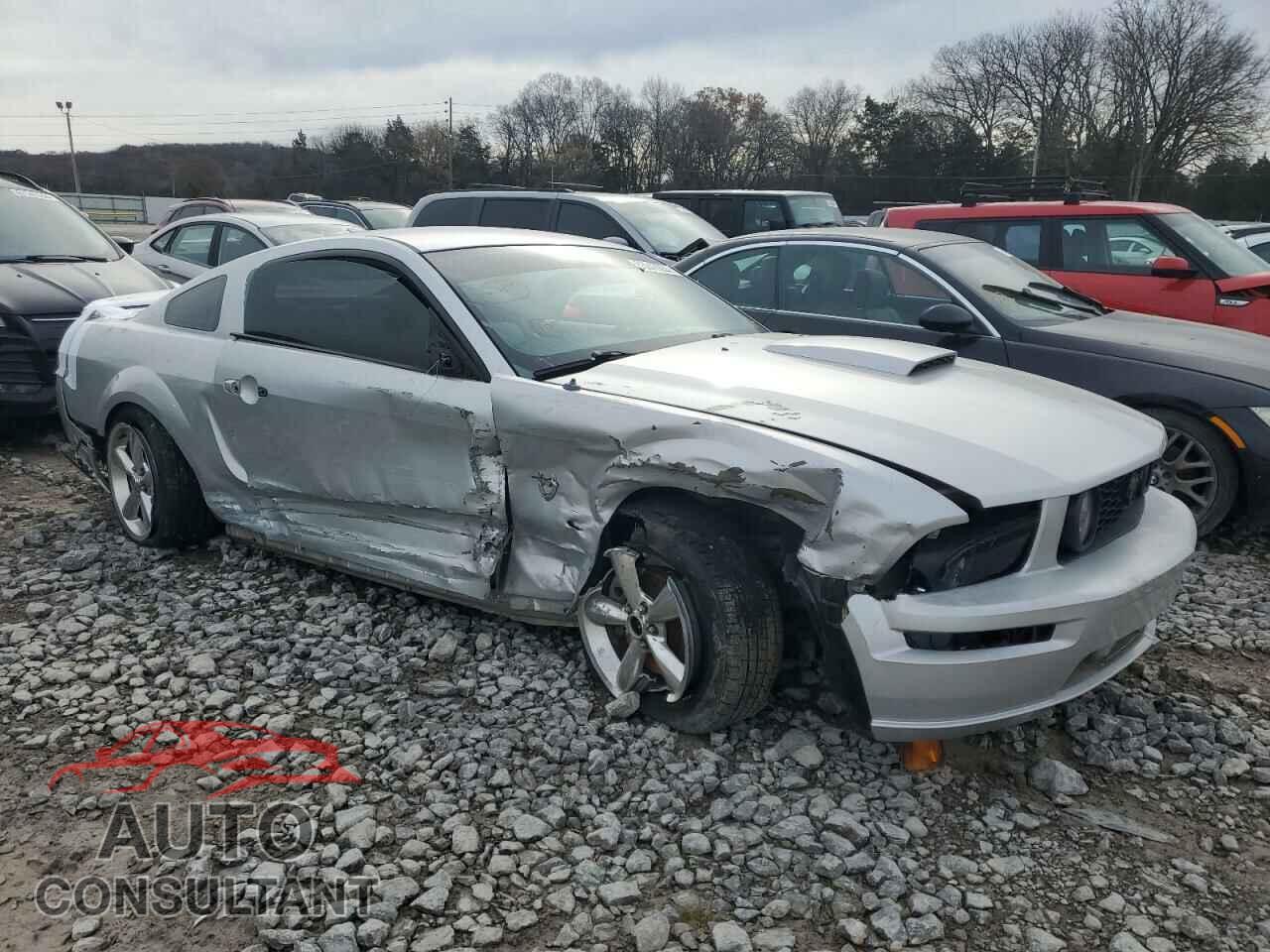 FORD MUSTANG 2009 - 1ZVHT82H495142425