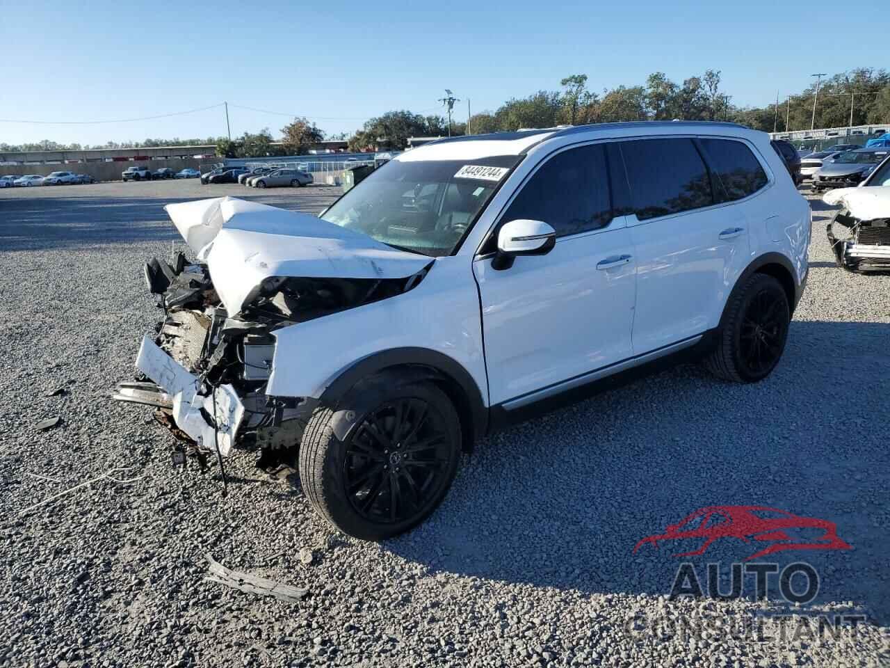 KIA TELLURIDE 2021 - 5XYP64HC7MG151629