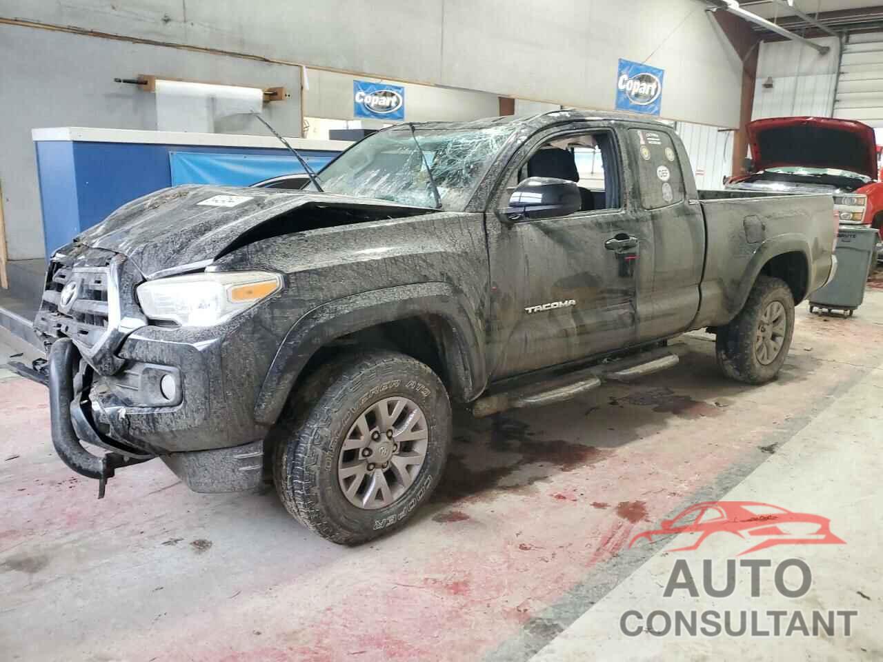TOYOTA TACOMA 2016 - 5TFSX5ENXGX041808