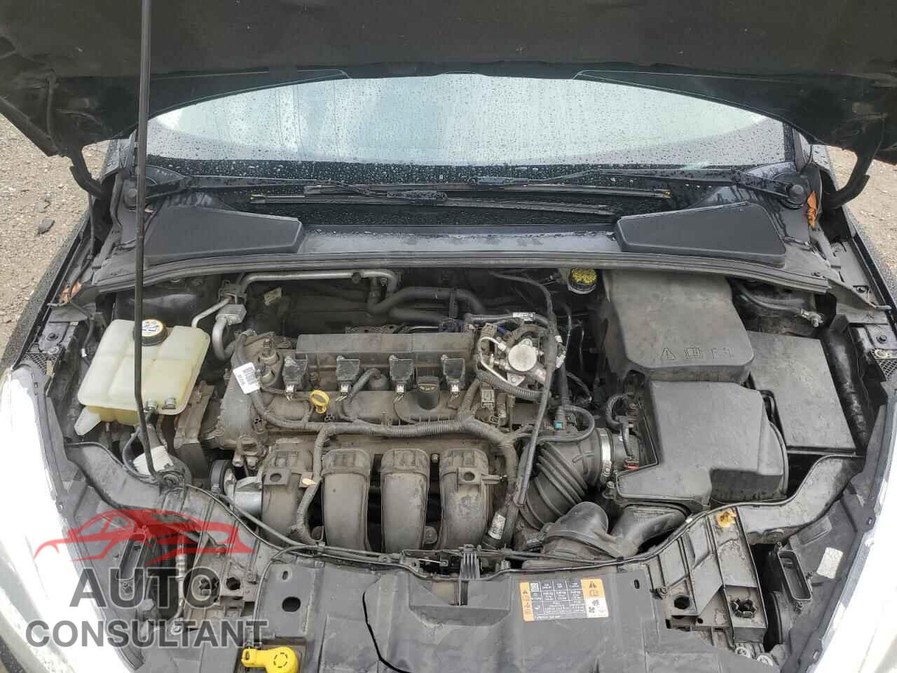 FORD FOCUS 2016 - 1FADP3F29GL387931