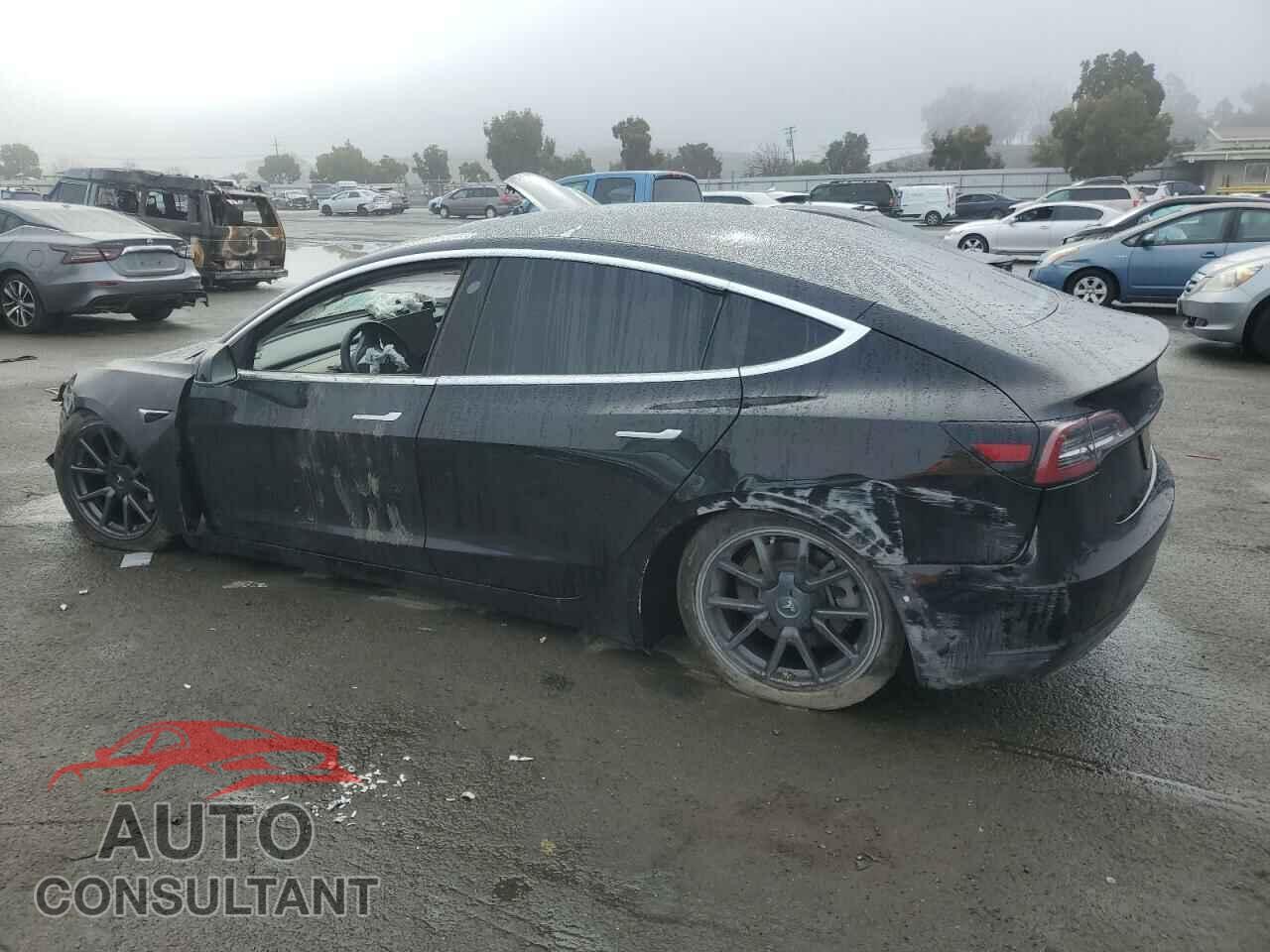 TESLA MODEL 3 2019 - 5YJ3E1EA4KF399098