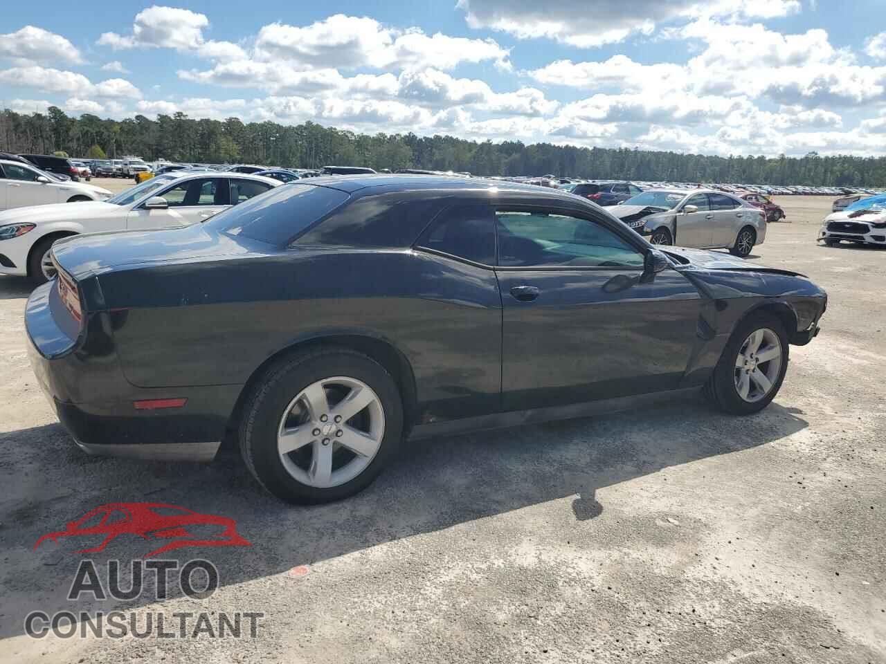 DODGE CHALLENGER 2013 - 2C3CDYAG5DH736384
