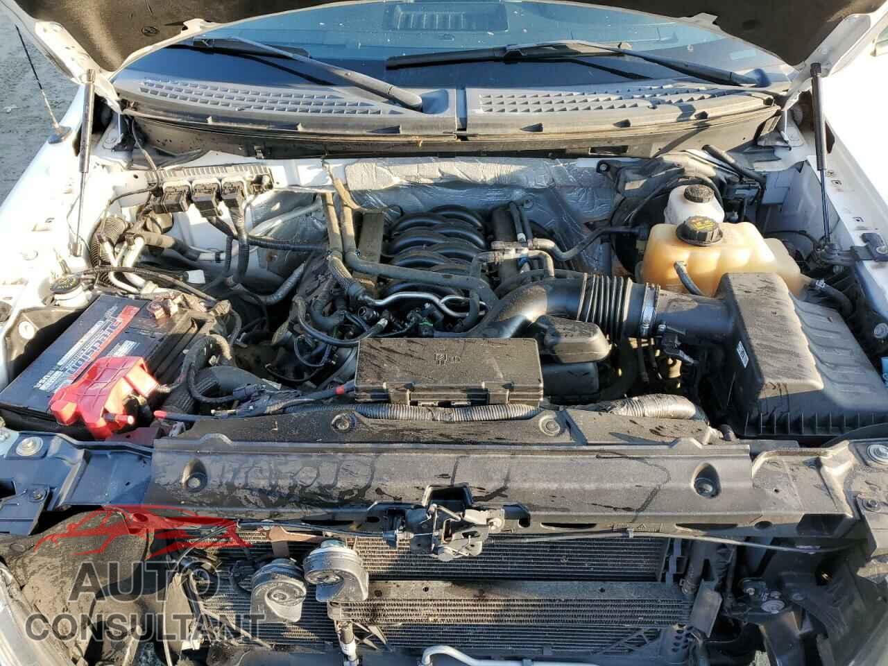 FORD F-150 2013 - 1FTFW1EF1DFB65084