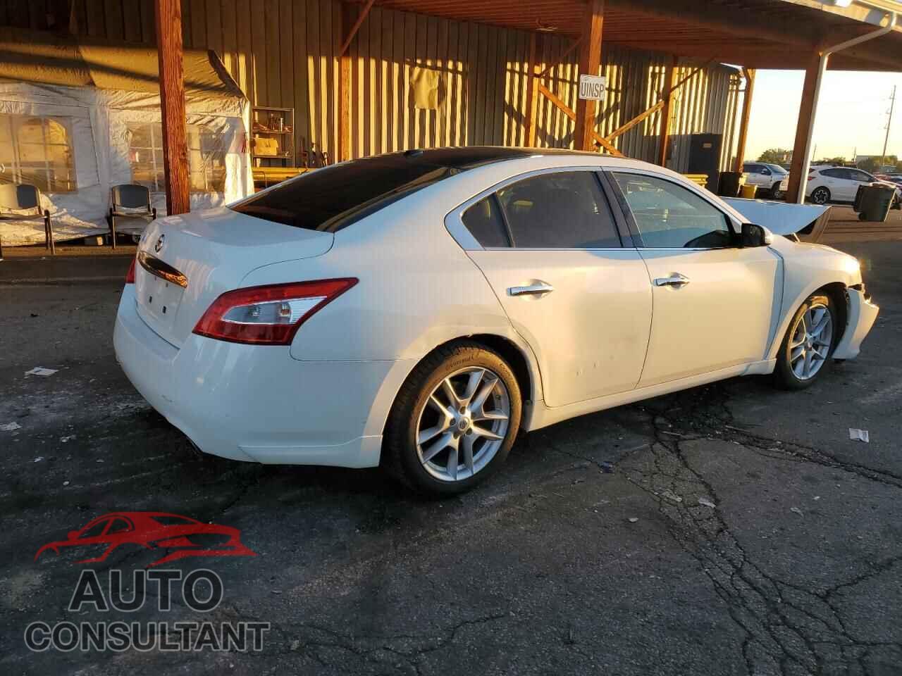 NISSAN MAXIMA 2011 - 1N4AA5AP1BC820623