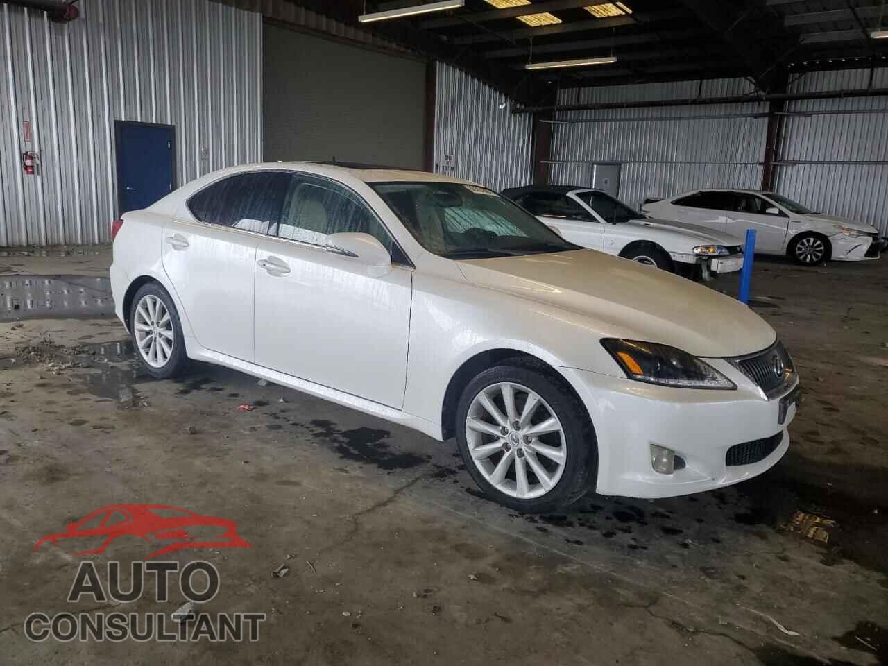 LEXUS IS 2009 - JTHBK262692084672