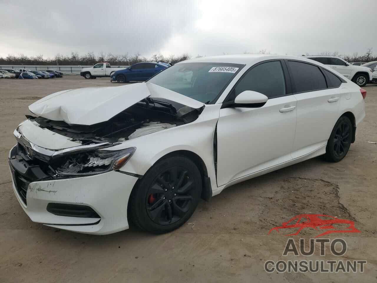 HONDA ACCORD 2019 - 1HGCV1F1XKA125977