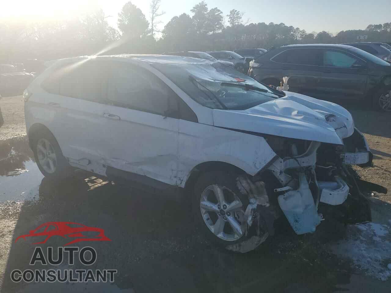 FORD EDGE 2018 - 2FMPK3G96JBC10290