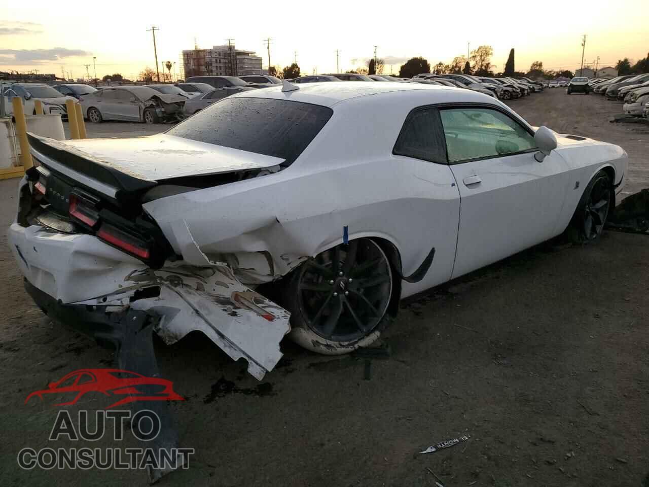 DODGE CHALLENGER 2019 - 2C3CDZFJXKH546443