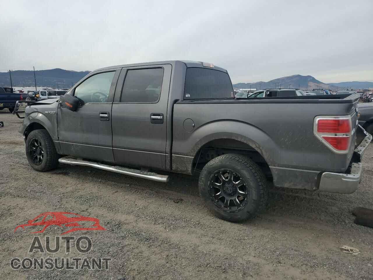 FORD F-150 2013 - 1FTFW1CF1DFB41368