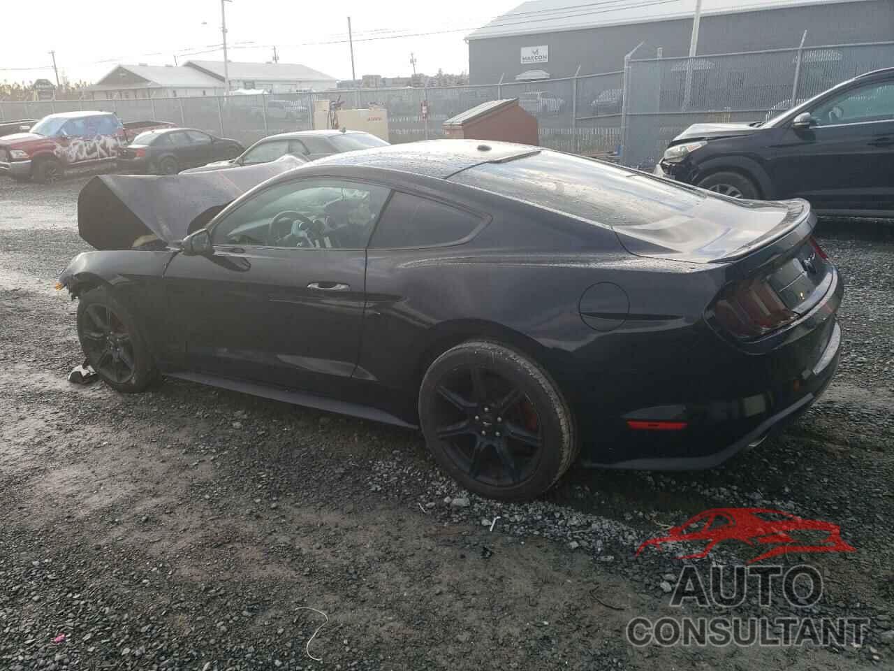 FORD ALL Models 2019 - 1FA6P8TH6K5154892