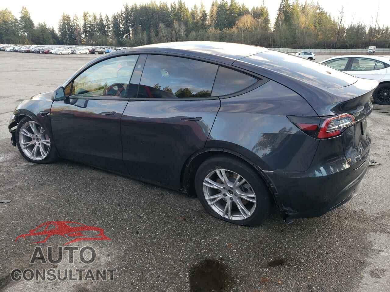 TESLA MODEL Y 2024 - 7SAYGAEE7RF987089