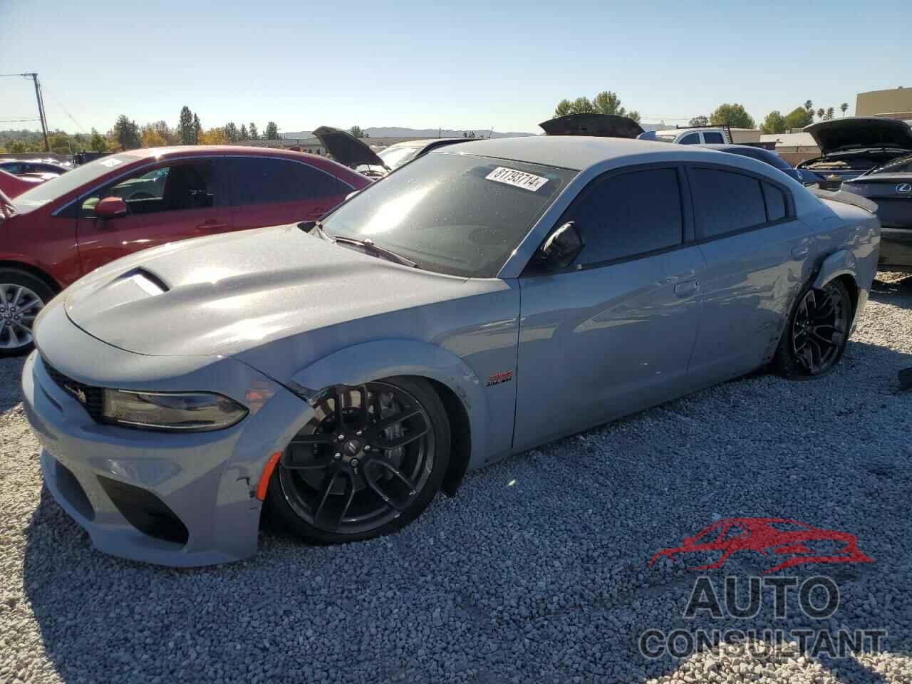 DODGE CHARGER 2021 - 2C3CDXGJ3MH565292