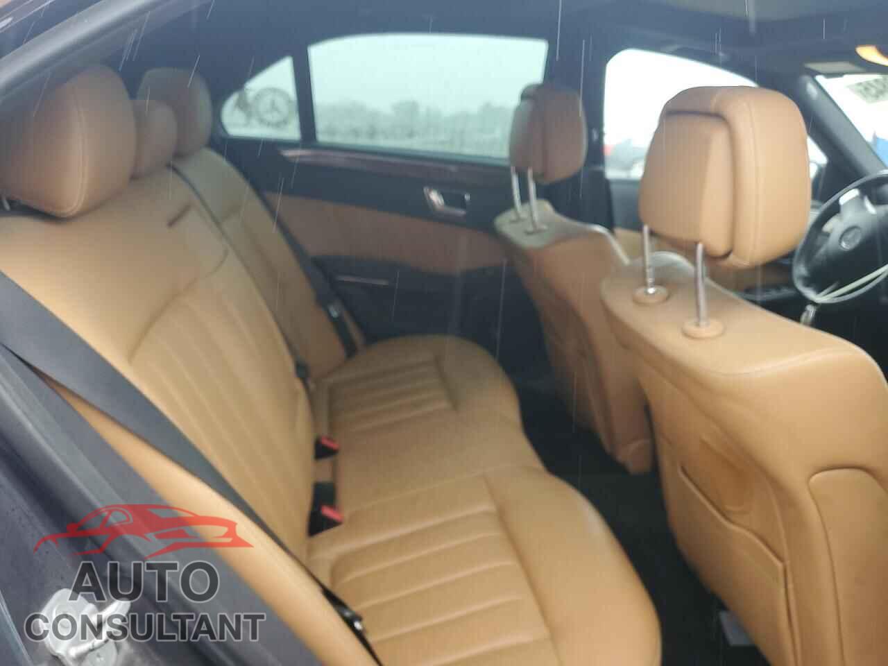 MERCEDES-BENZ E-CLASS 2010 - WDDHF9AB4AA222015