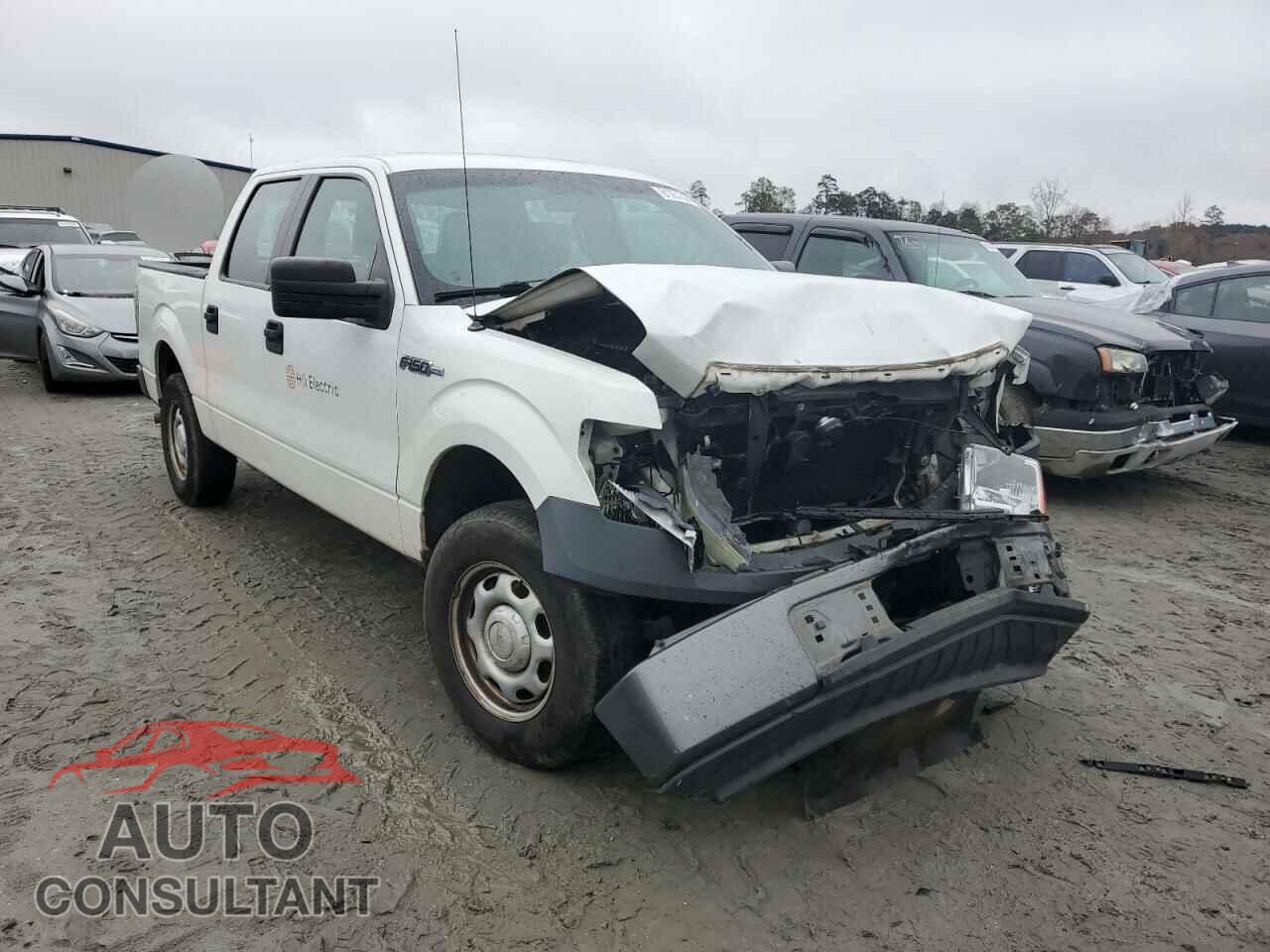 FORD F-150 2011 - 1FTEW1CM4BFD00942