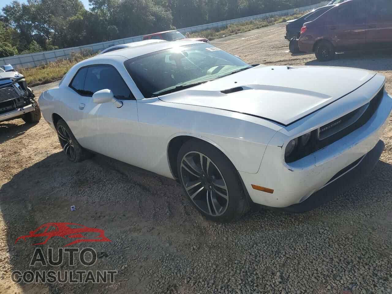 DODGE CHALLENGER 2014 - 2C3CDYAG2EH260760