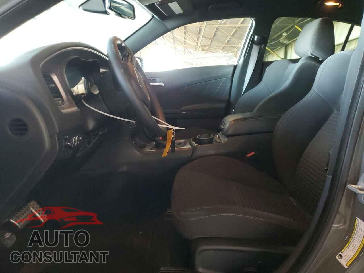 DODGE CHARGER 2019 - 2C3CDXCT2KH589104