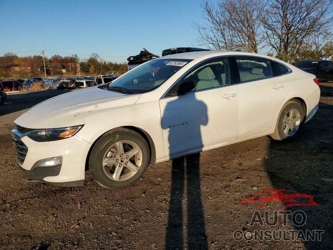 CHEVROLET MALIBU 2020 - 1G1ZC5ST5LF018863