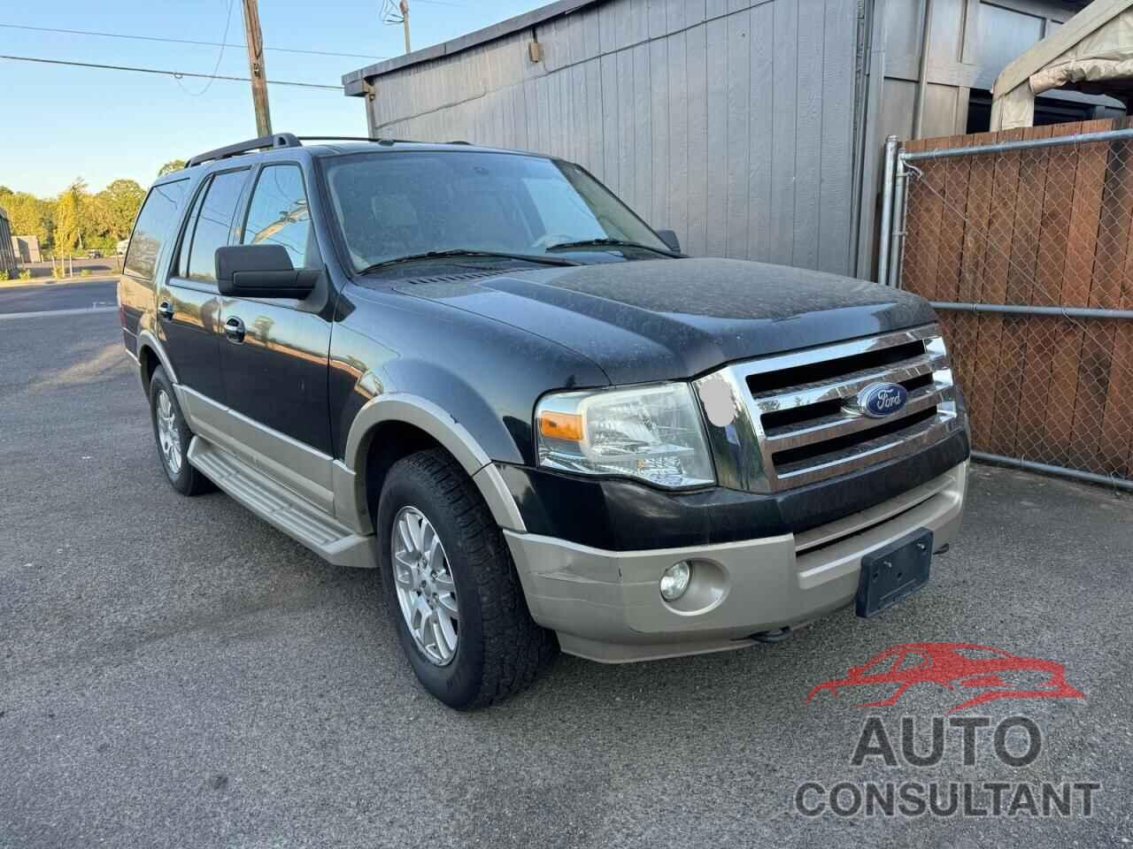 FORD EXPEDITION 2010 - 1FMJU1J58AEB58207