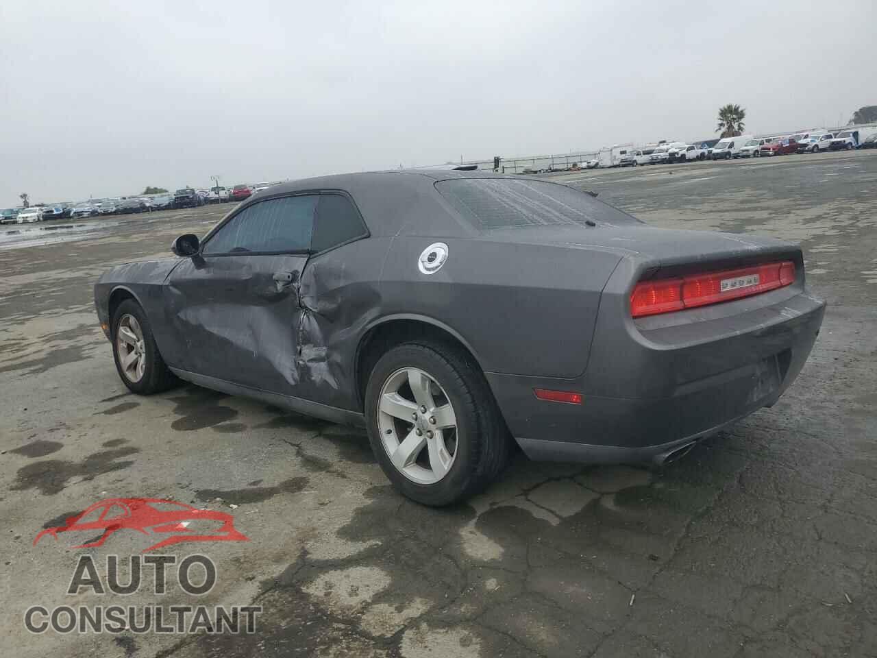 DODGE CHALLENGER 2014 - 2C3CDYAG9EH153155