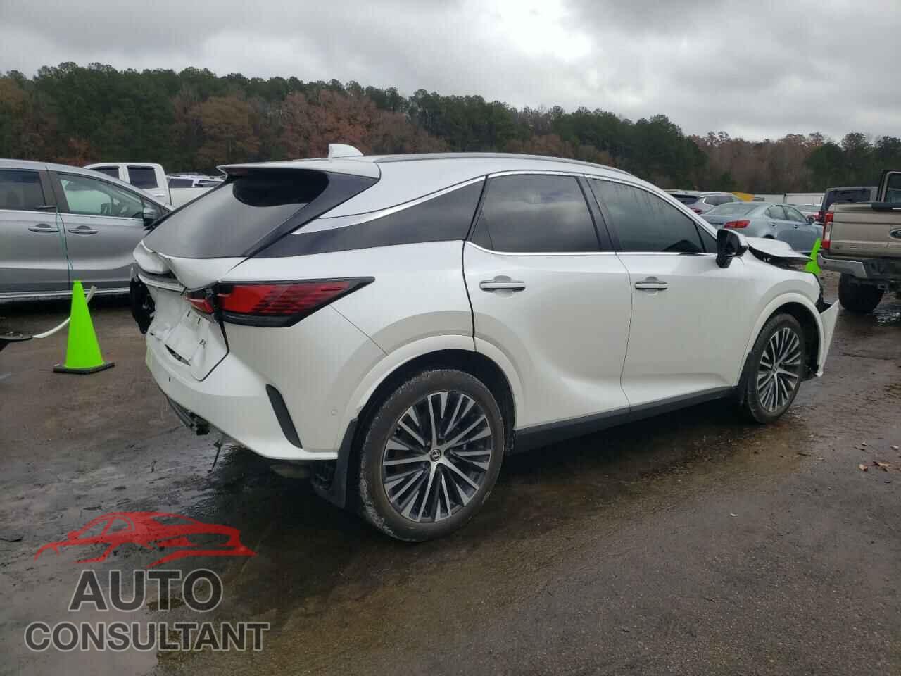 LEXUS RX350 2024 - 2T2BAMBA3RC024455