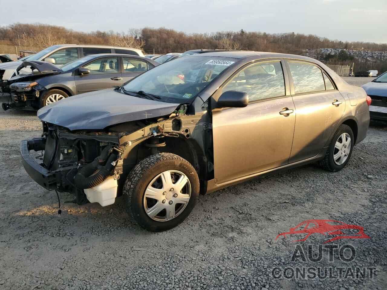 TOYOTA COROLLA 2011 - JTDBU4EEXB9132223