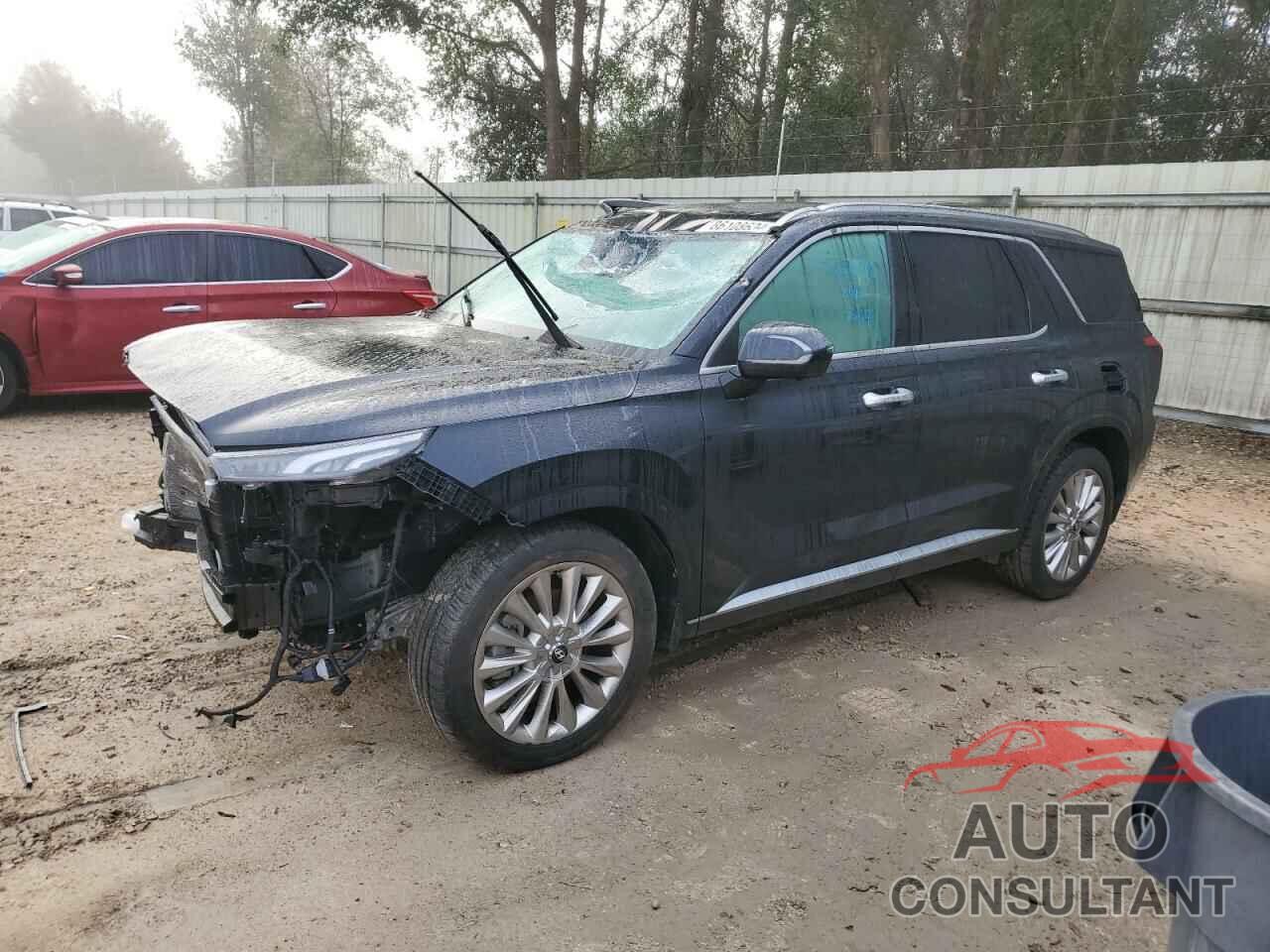 HYUNDAI PALISADE 2020 - KM8R54HE9LU073148