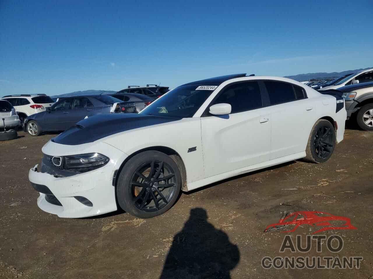 DODGE CHARGER 2020 - 2C3CDXGJ9LH162397