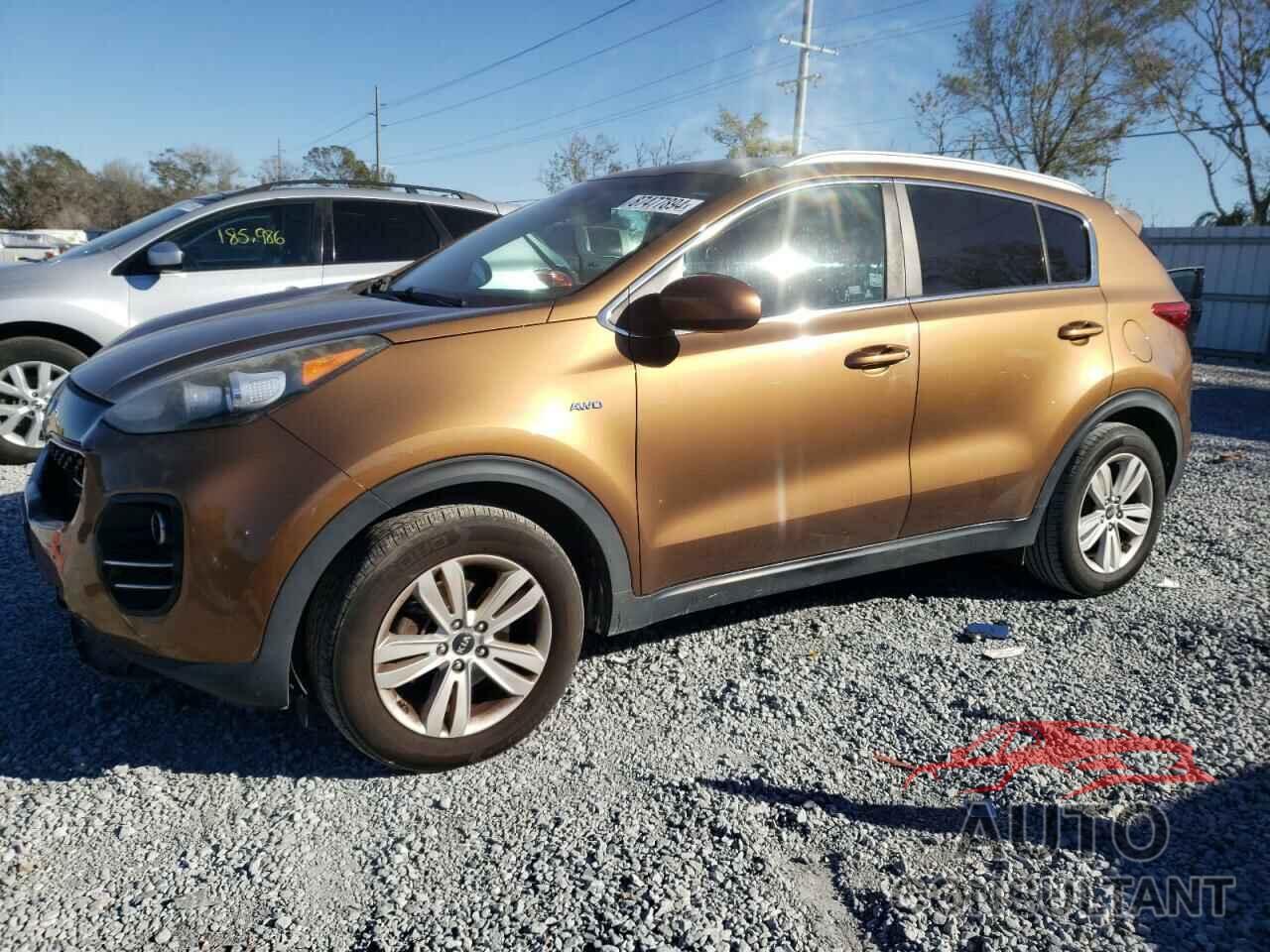KIA SPORTAGE 2017 - KNDPMCAC7H7036283