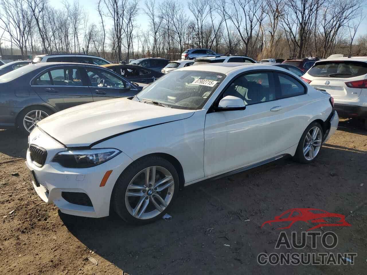 BMW 2 SERIES 2015 - WBA1F7C58FV367269