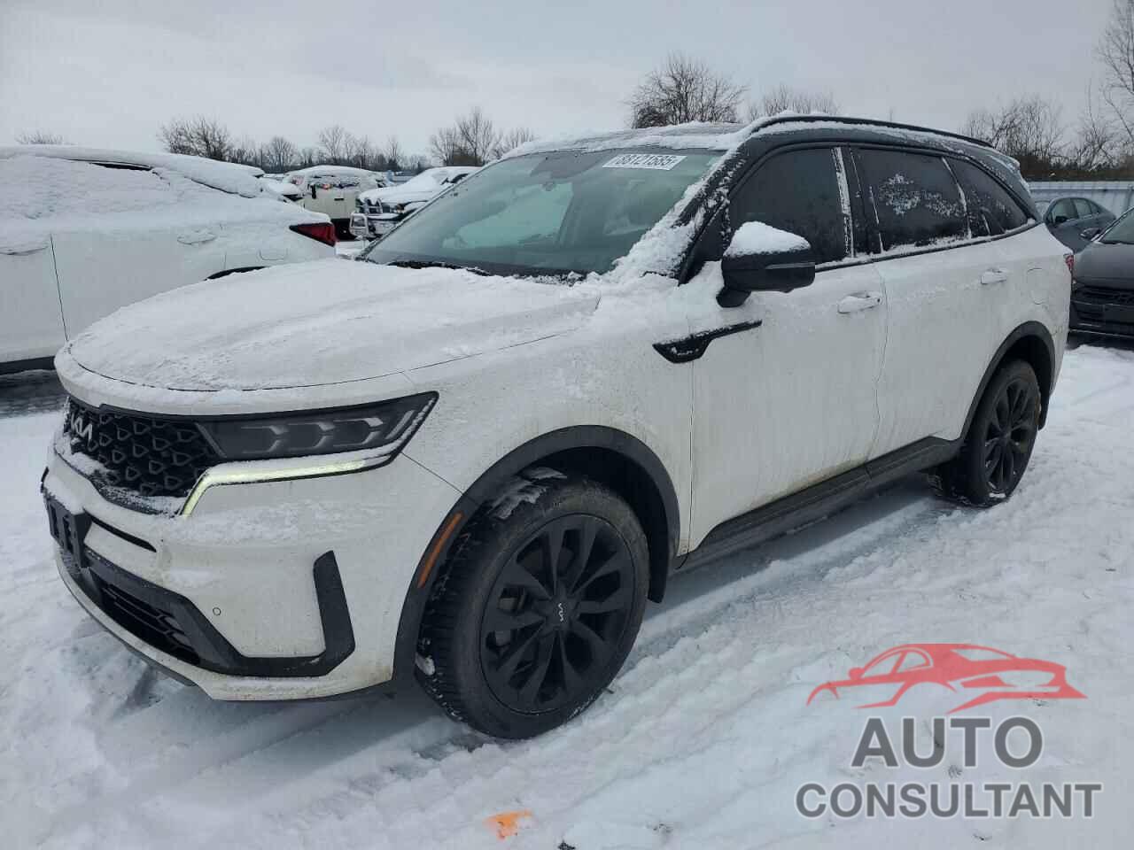 KIA SORENTO 2023 - 5XYRKDLF9PG162545