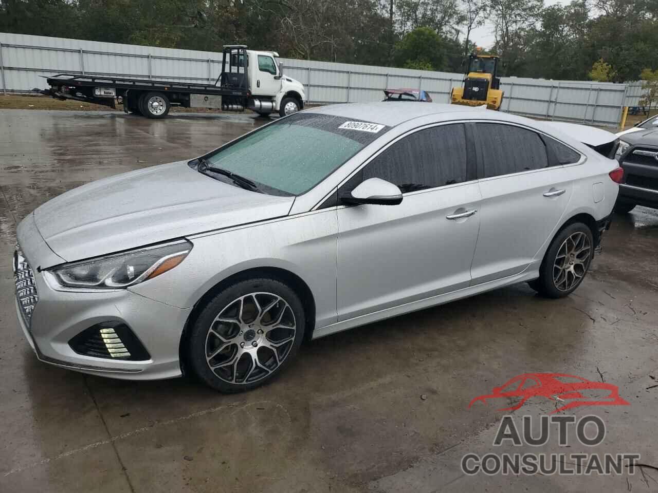 HYUNDAI SONATA 2019 - 5NPE34AF7KH815860