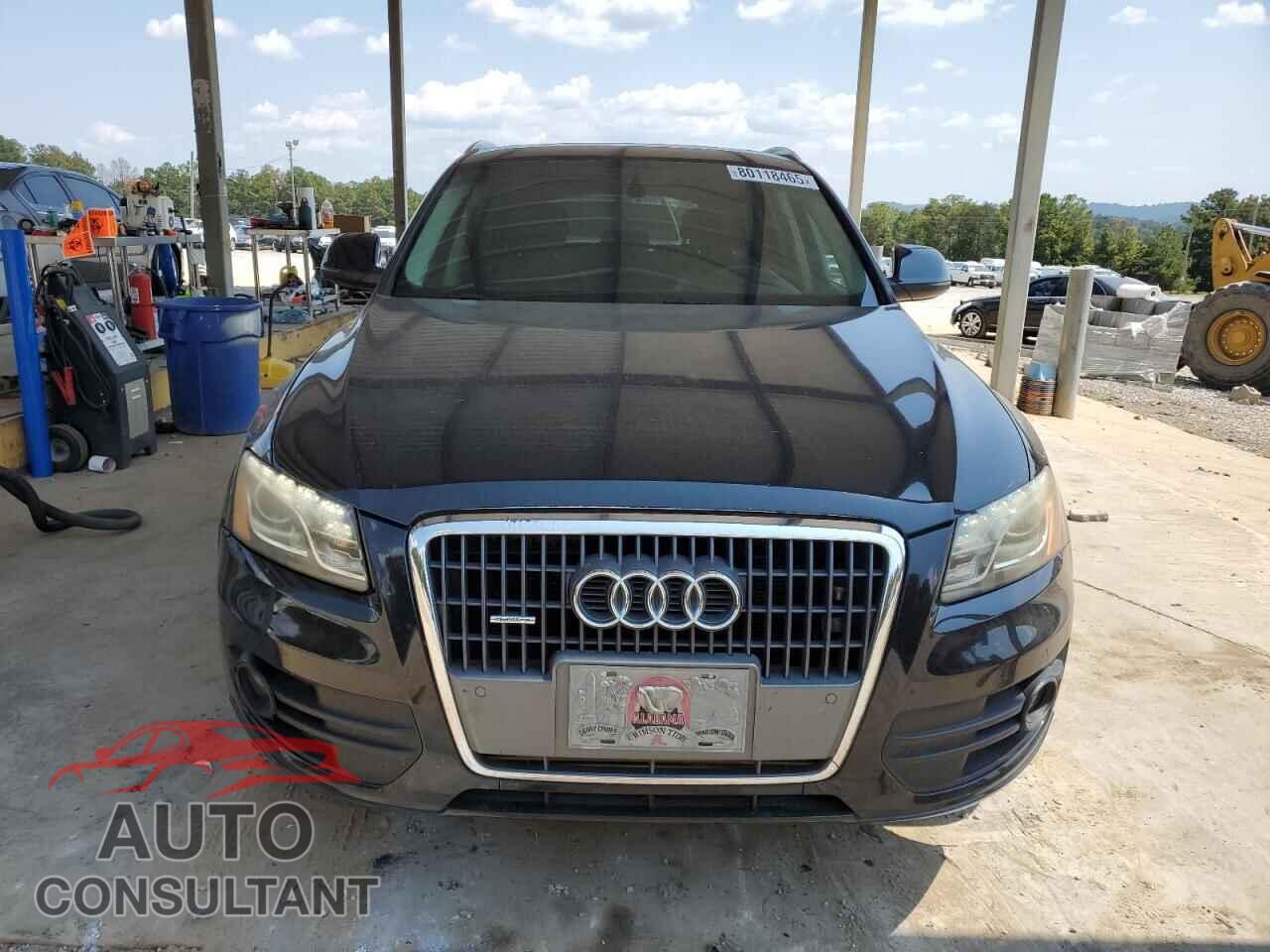 AUDI Q5 2011 - WA1LFAFP3BA110943