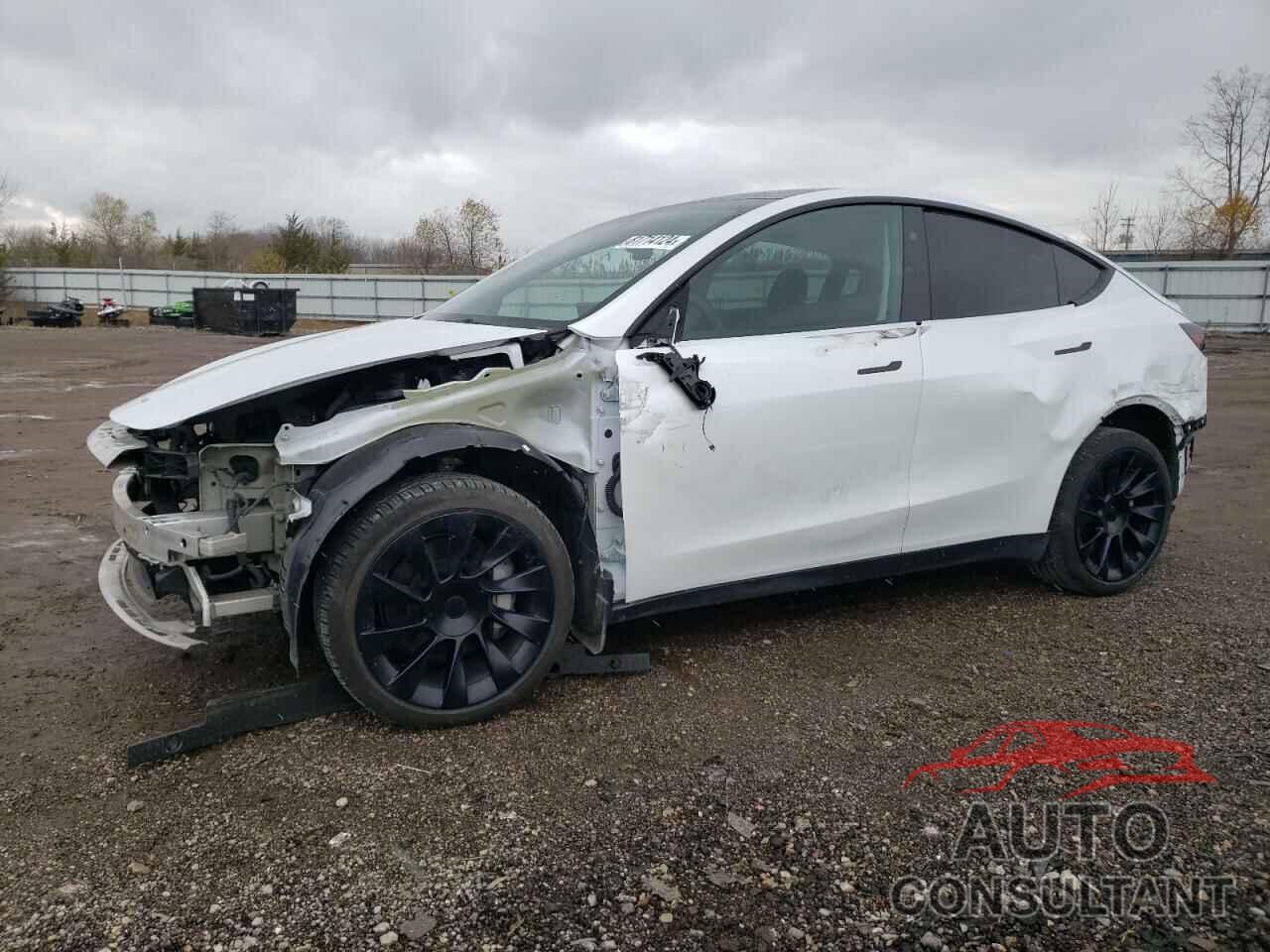 TESLA MODEL Y 2024 - 7SAYGDEE8RA257495