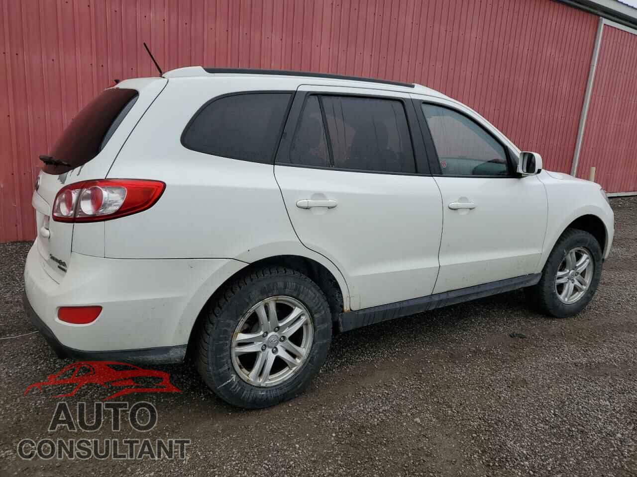HYUNDAI SANTA FE 2010 - 5NMSGDAG3AH350828