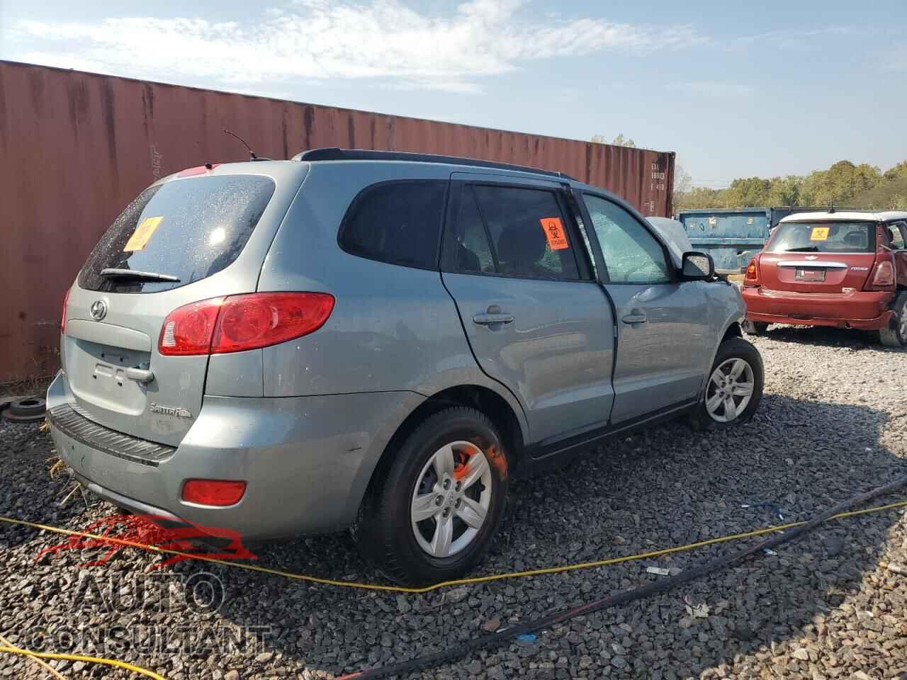 HYUNDAI SANTA FE 2009 - 5NMSG13D59H320372