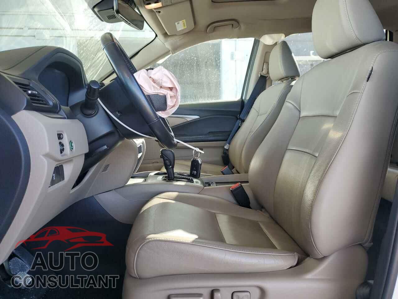 HONDA PILOT 2019 - 5FNYF5H53KB036669