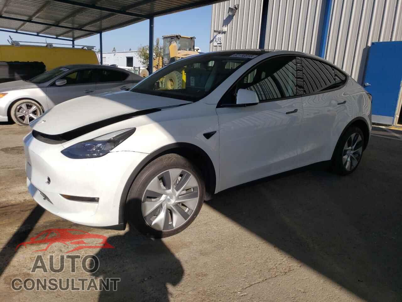 TESLA MODEL Y 2023 - 7SAYGDEE0PF738342
