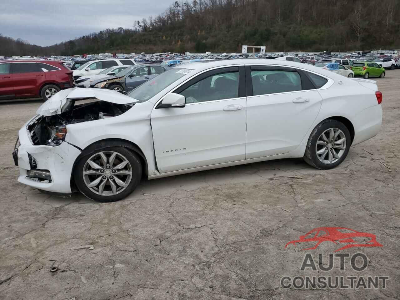 CHEVROLET IMPALA 2019 - 2G11Z5S35K9128458