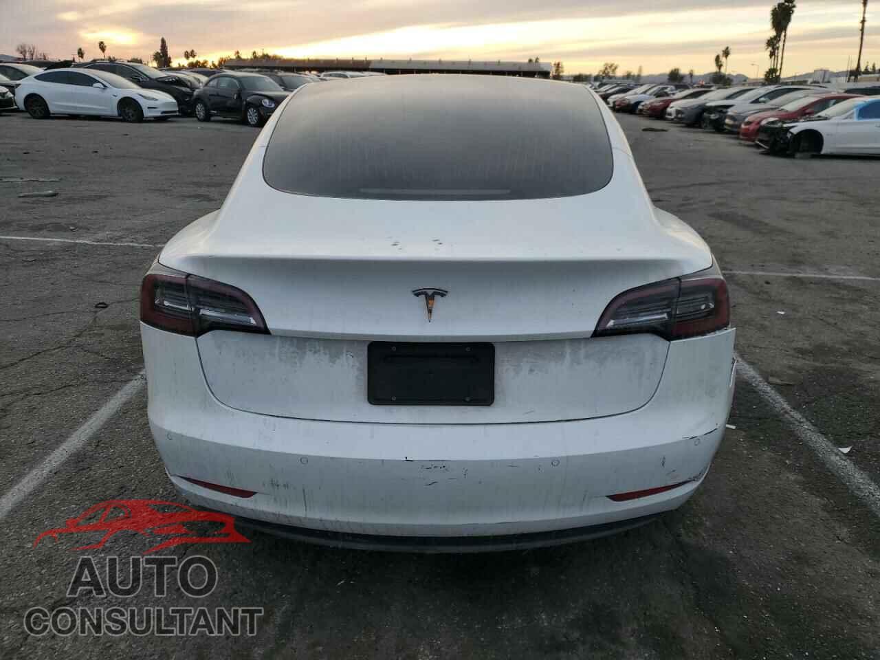 TESLA MODEL 3 2020 - 5YJ3E1EA4LF806421