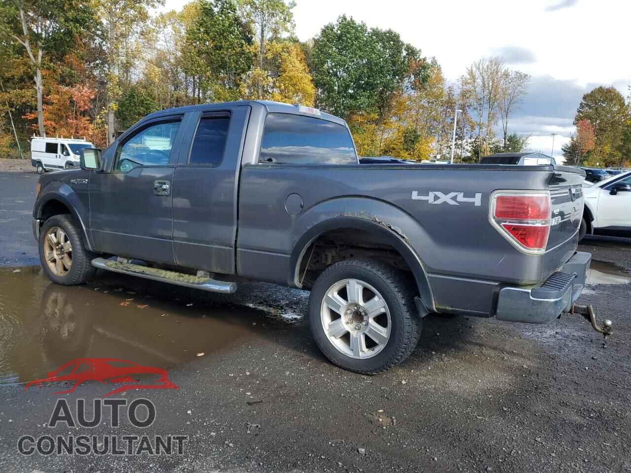 FORD F-150 2010 - 1FTEX1E81AKA19491
