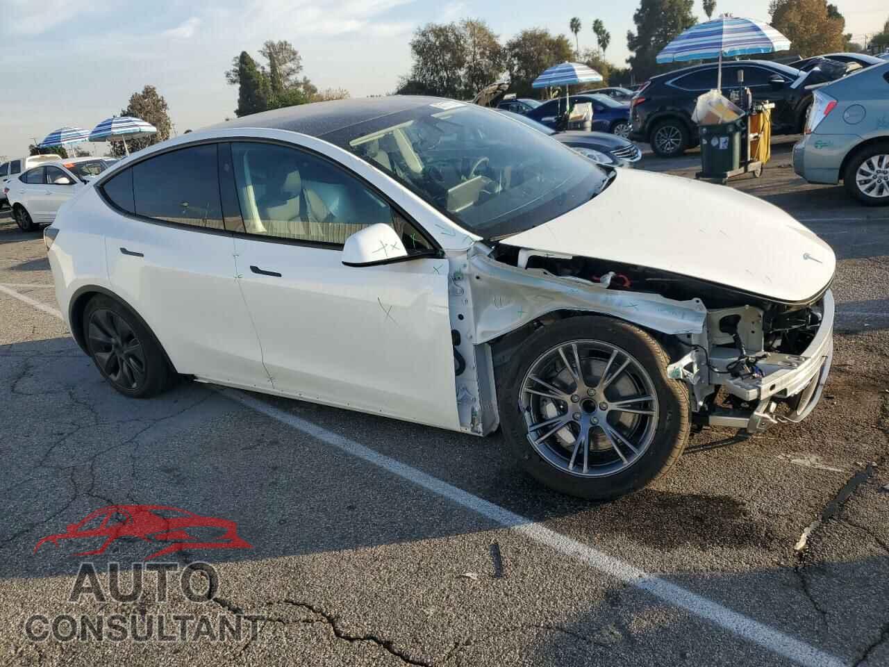 TESLA MODEL Y 2024 - 7SAYGDED1RF169916