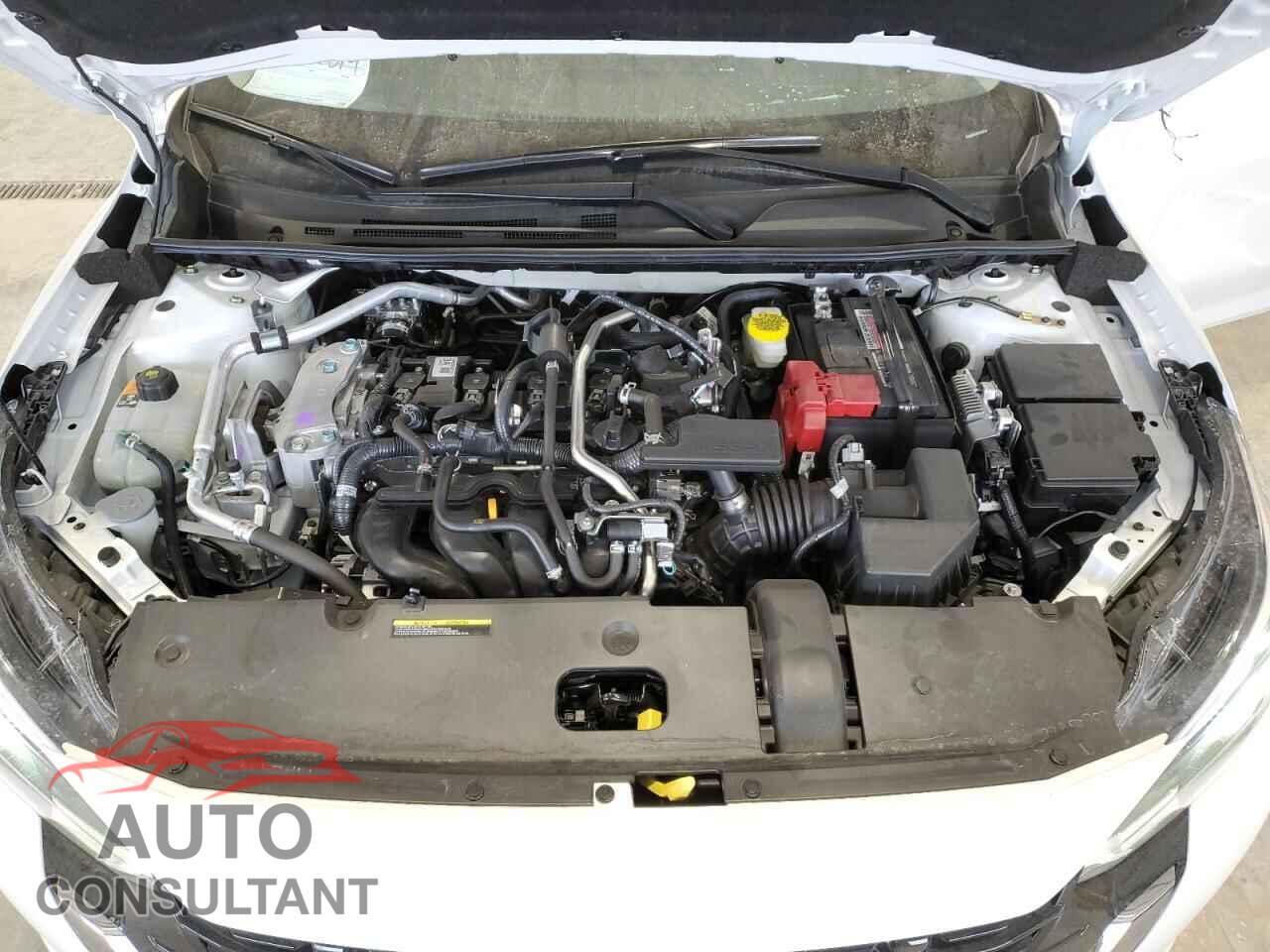 NISSAN SENTRA 2024 - 3N1AB8DV3RY383473