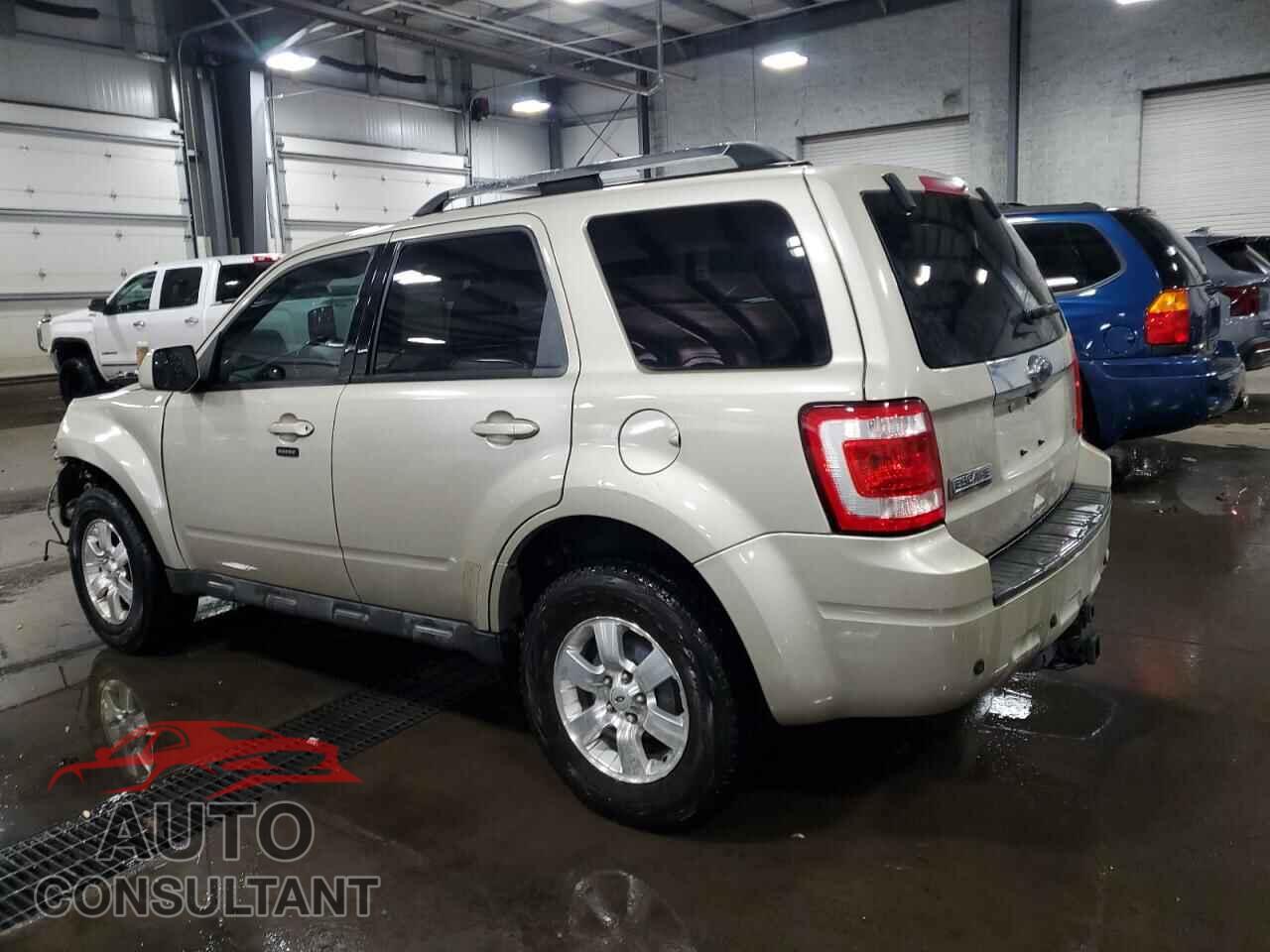 FORD ESCAPE 2011 - 1FMCU9EG3BKC04550