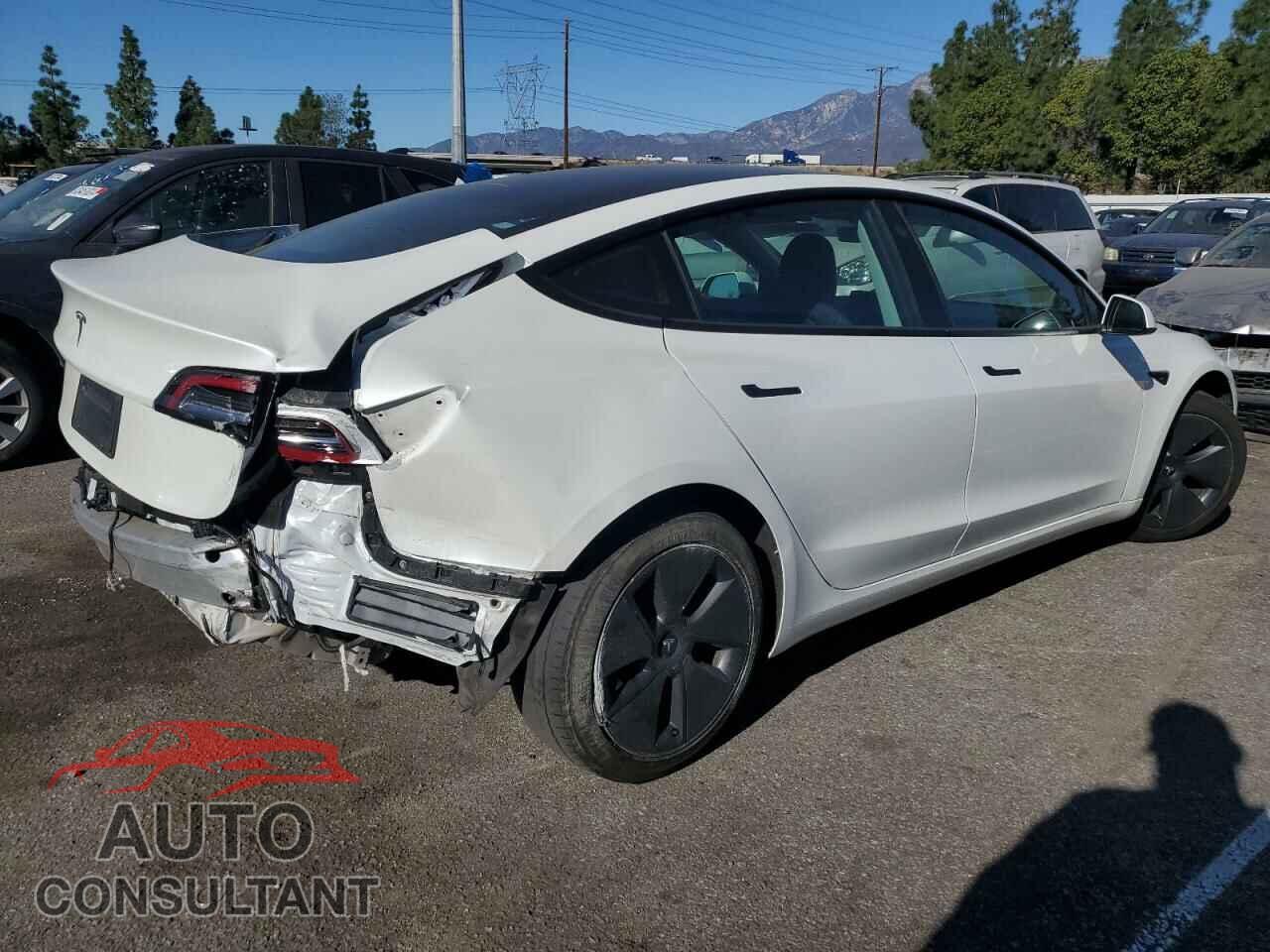 TESLA MODEL 3 2021 - 5YJ3E1EA1MF027866